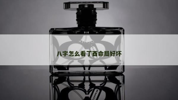 八字怎么看丁酉命局好坏