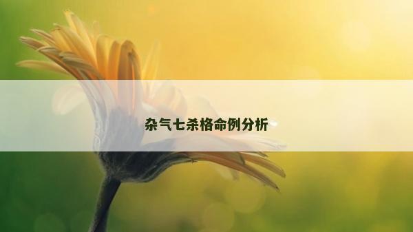 杂气七杀格命例分析