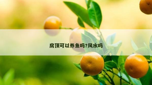 房顶可以养鱼吗?风水吗
