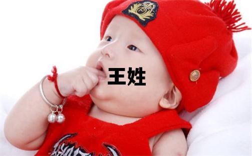 王姓取名大气文雅的男宝宝名字