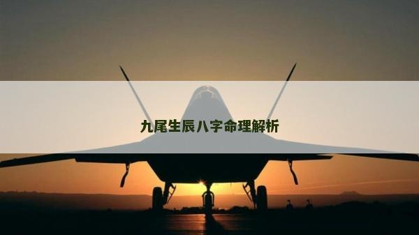 九尾生辰八字命理解析