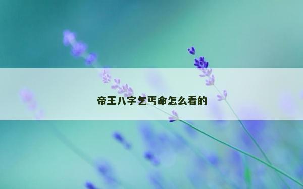 帝王八字乞丐命怎么看的