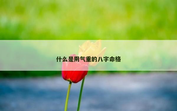 什么是阴气重的八字命格
