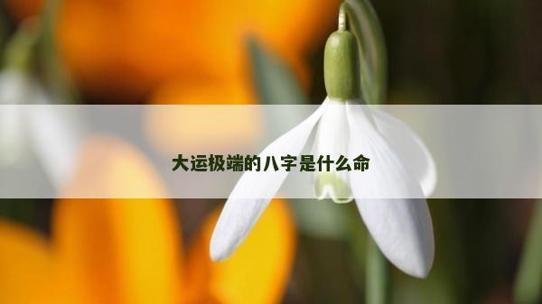 大运极端的八字是什么命