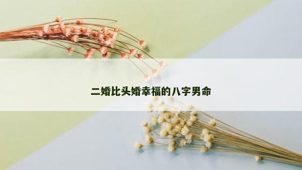 二婚比头婚幸福的八字男命