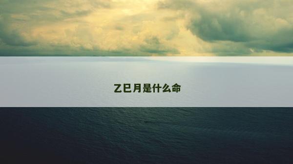 乙巳月是什么命