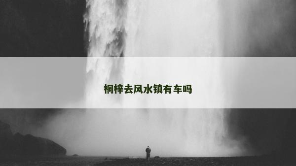 桐梓去风水镇有车吗