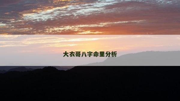 大衣哥八字命里分析