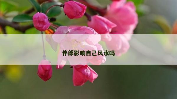伴郎影响自己风水吗