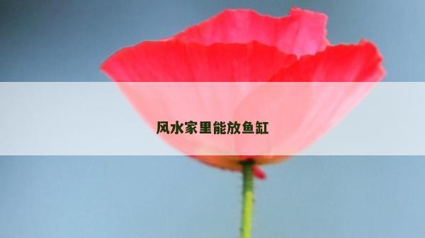 风水家里能放鱼缸