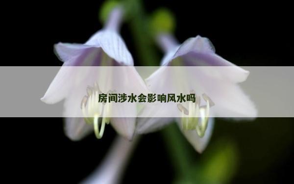 房间涉水会影响风水吗