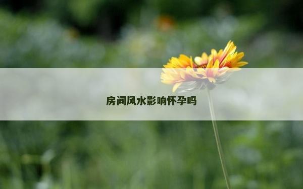 房间风水影响怀孕吗