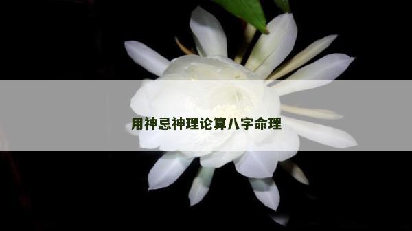 用神忌神理论算八字命理