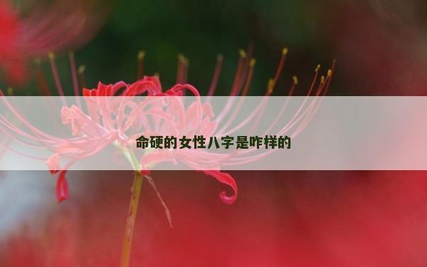 命硬的女性八字是咋样的