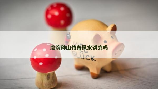 庭院种山竹有风水讲究吗