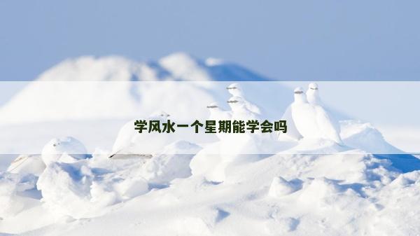学风水一个星期能学会吗