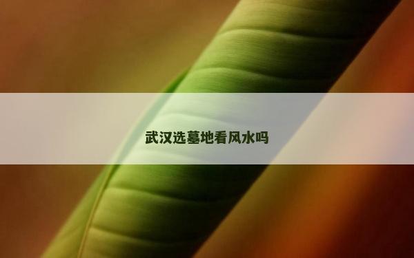 武汉选墓地看风水吗