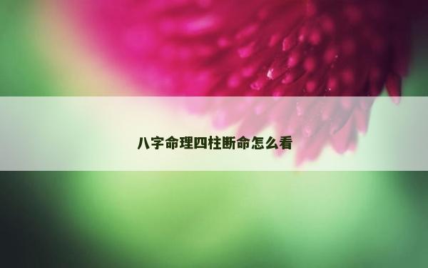 八字命理四柱断命怎么看