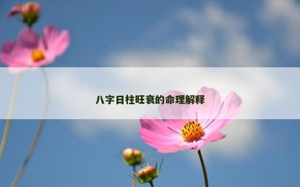 八字日柱旺衰的命理解释