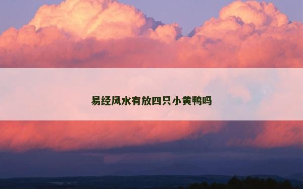 易经风水有放四只小黄鸭吗
