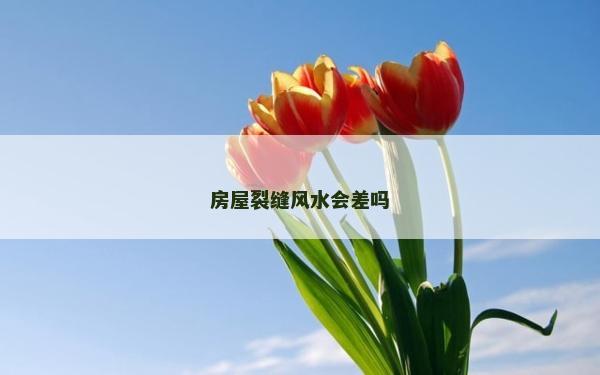 房屋裂缝风水会差吗