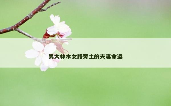 男大林木女路旁土的夫妻命运