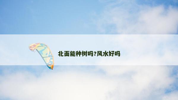 北面能种树吗?风水好吗