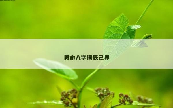 男命八字庚辰己卯