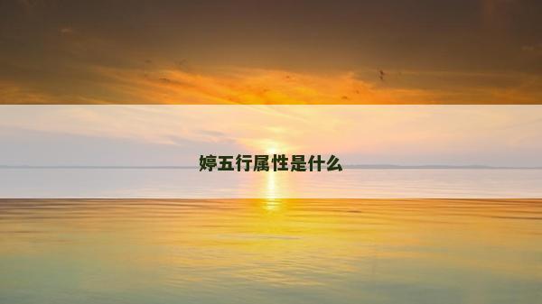 婷五行属性是什么