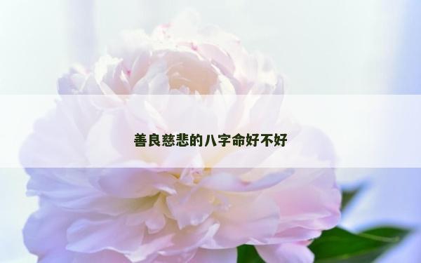 善良慈悲的八字命好不好