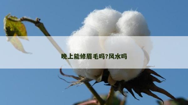晚上能修眉毛吗?风水吗