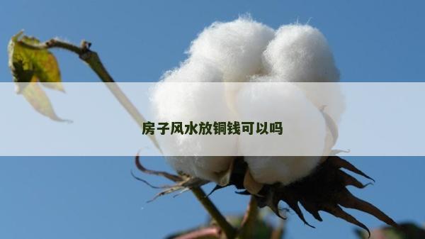房子风水放铜钱可以吗