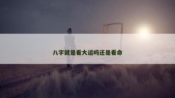 八字就是看大运吗还是看命
