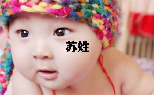 苏姓有新意的女孩名字,取什么名字好