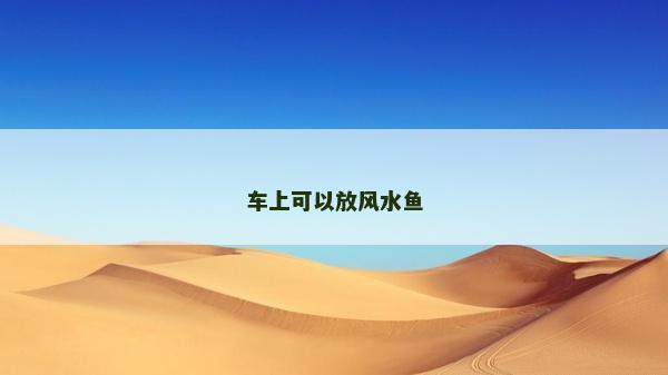 车上可以放风水鱼