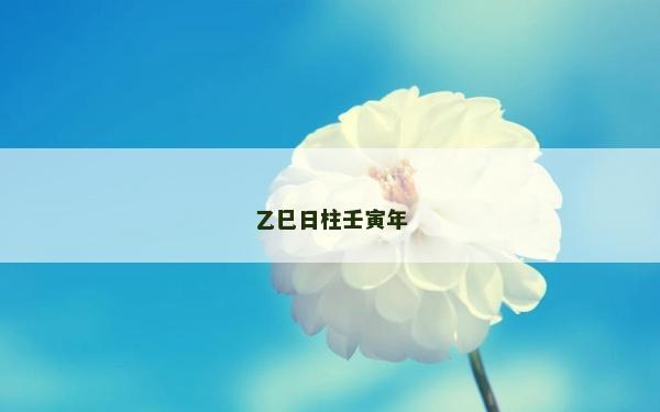乙巳日柱壬寅年