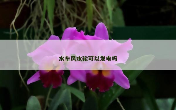 水车风水轮可以发电吗