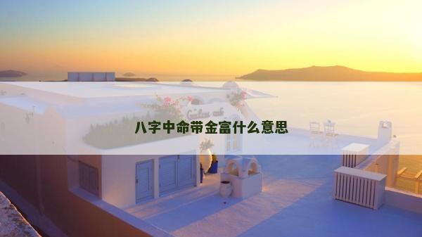 八字中命带金富什么意思