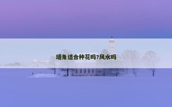 墙角适合种花吗?风水吗