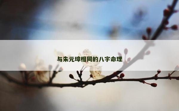 与朱元璋相同的八字命理
