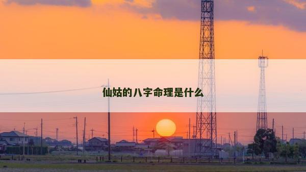 仙姑的八字命理是什么