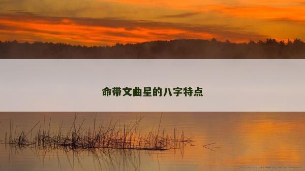 命带文曲星的八字特点