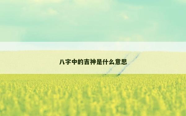 八字中的吉神是什么意思
