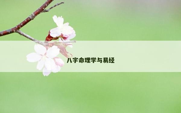 八字命理学与易经