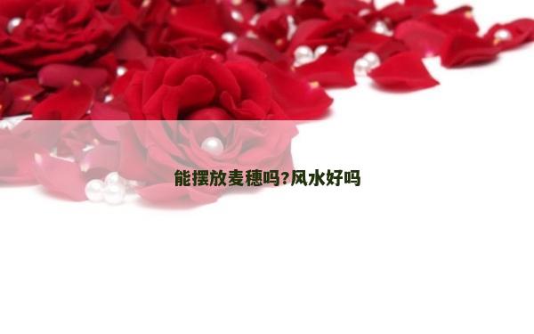 能摆放麦穗吗?风水好吗