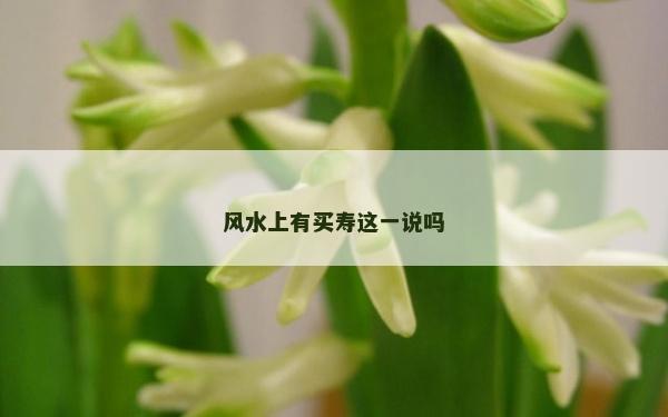 风水上有买寿这一说吗