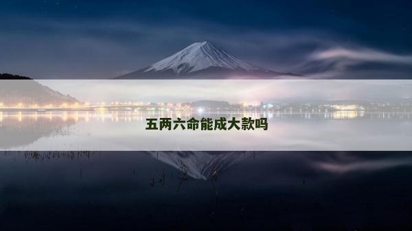 五两六命能成大款吗