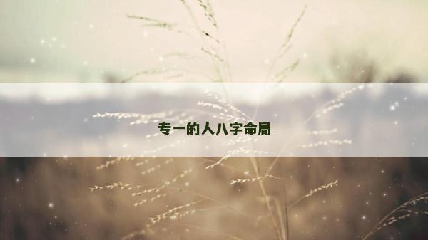 专一的人八字命局