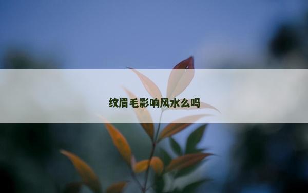 纹眉毛影响风水么吗