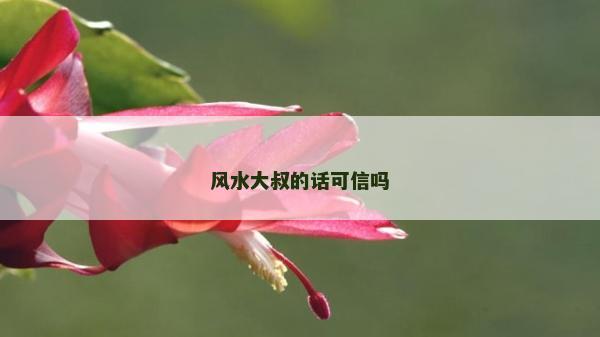 风水大叔的话可信吗